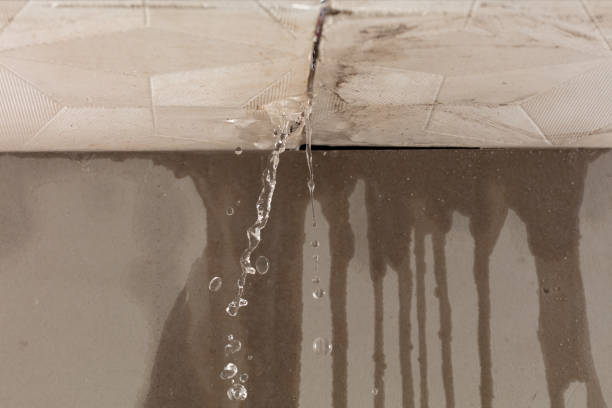 Professional Sewage Cleanup technician working in Draper, UT